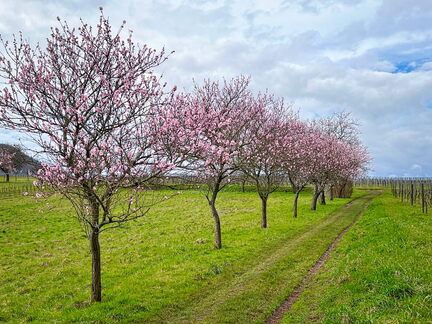 23-03-13 10-56-29 4832